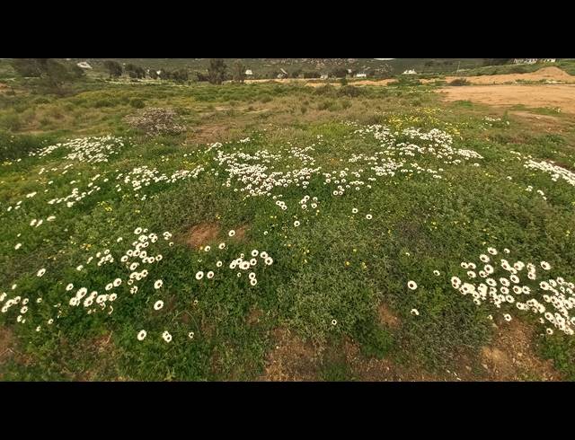 469M² VACANT LAND FOR SALE IN ST HELENA VIEWS